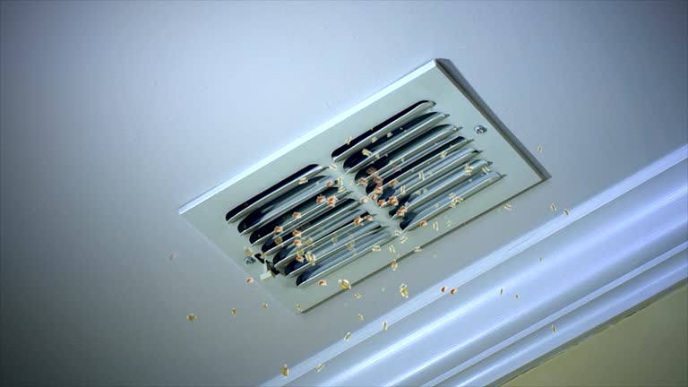 Best Air Duct Cleaning Near Me  in Mena, AR
